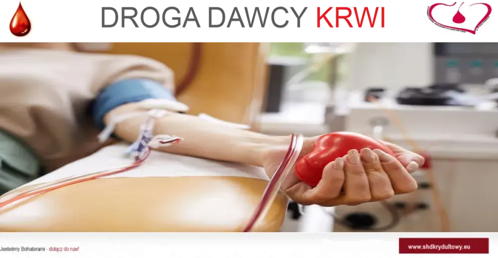 Jak często oddawać krew w RCKiK? Zasady i terminy donacji
