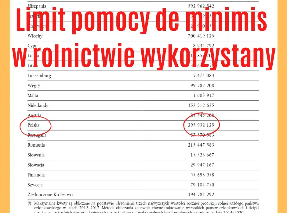 Zasady przyznawania pomocy de minimis - poznaj limity czasowe wsparcia