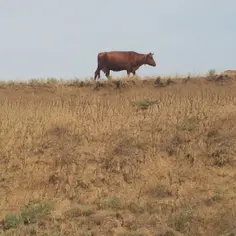 Jakie są koszty prowadzenia spółki z ograniczoną odpowiedzialnością zajmującej się prowadzeniem zoo?