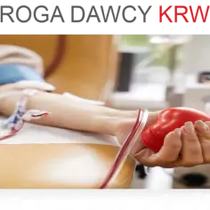 Jak często oddawać krew w RCKiK? Zasady i terminy donacji
