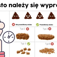 Co ile dni można się wypróżniać? Normy i zdrowy rytm