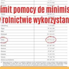 Zasady przyznawania pomocy de minimis - poznaj limity czasowe wsparcia