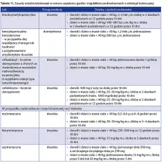 Co ile godzin przyjmować penicylinę? Ważne zasady dawkowania
