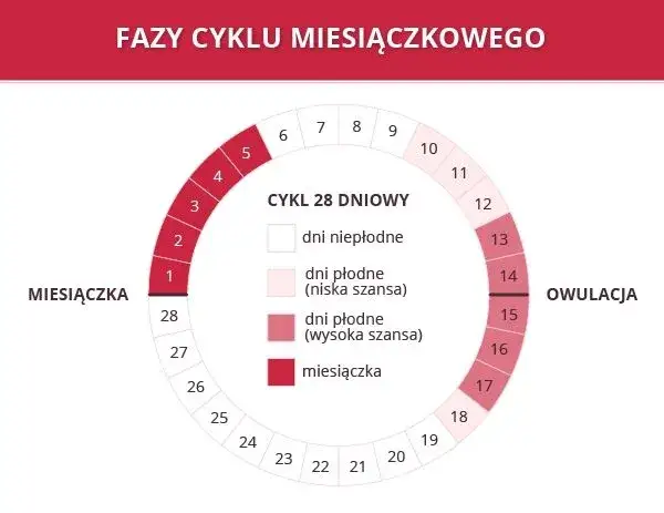 Zdjęcie Co ile dni można mieć okres? Poznaj prawidłową długość cyklu miesiączki