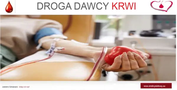 Jak często oddawać krew w RCKiK? Zasady i terminy donacji